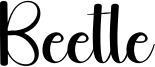 Beetle Font