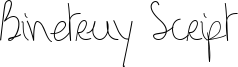 Binetruy Script Font