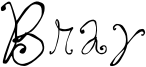Bray Font