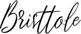 Bristtole Font