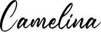 Camelina Font