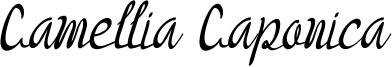 Camellia Caponica Font