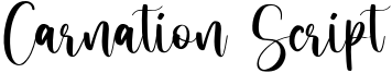 Carnation Script Font