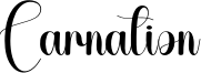 Carnation Font