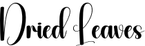 Dried Leaves Font