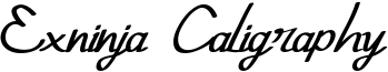 Exninja Caligraphy Font