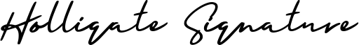 Holligate Signature Font