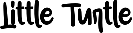 Little Turtle Font