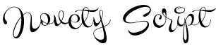 Novety Script Font