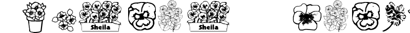 Pansies 4 Sheila Font