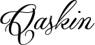 Qaskin Font