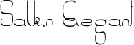 Salkin Elegant Font