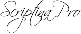 Scriptina Pro Font
