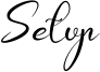 Setup Font