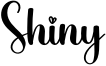 Shiny Font
