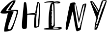 Shiny Font