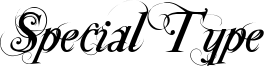 Special Type Font