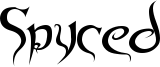 Spyced Font