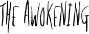 The Awokening Font