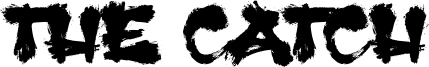 The Catch Font