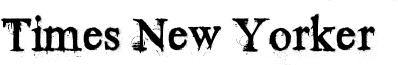 Times New Yorker Font