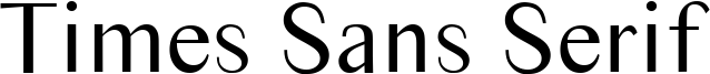 Times Sans Serif Font