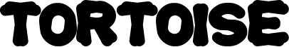 Tortoise Font