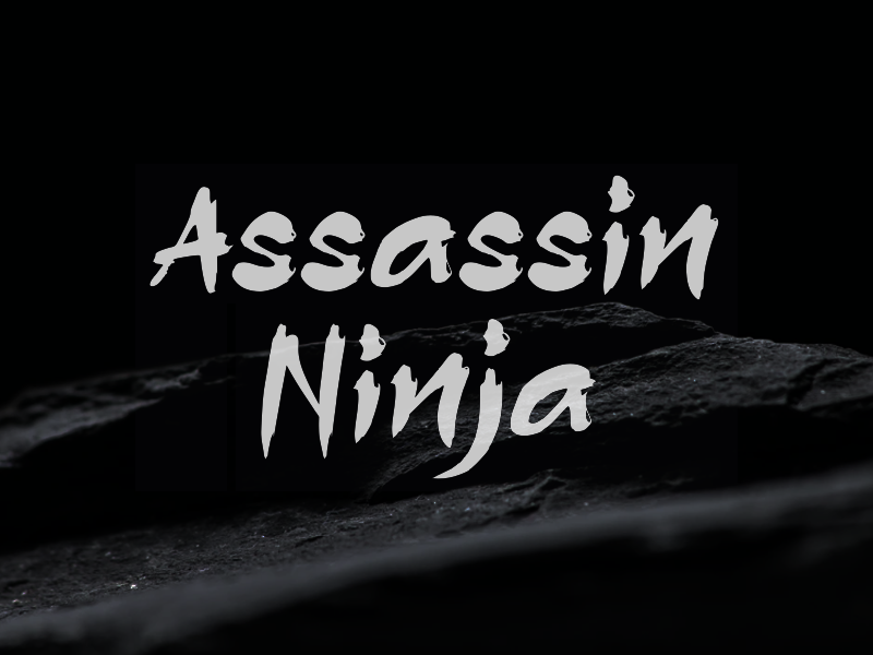 a Assassin Ninja