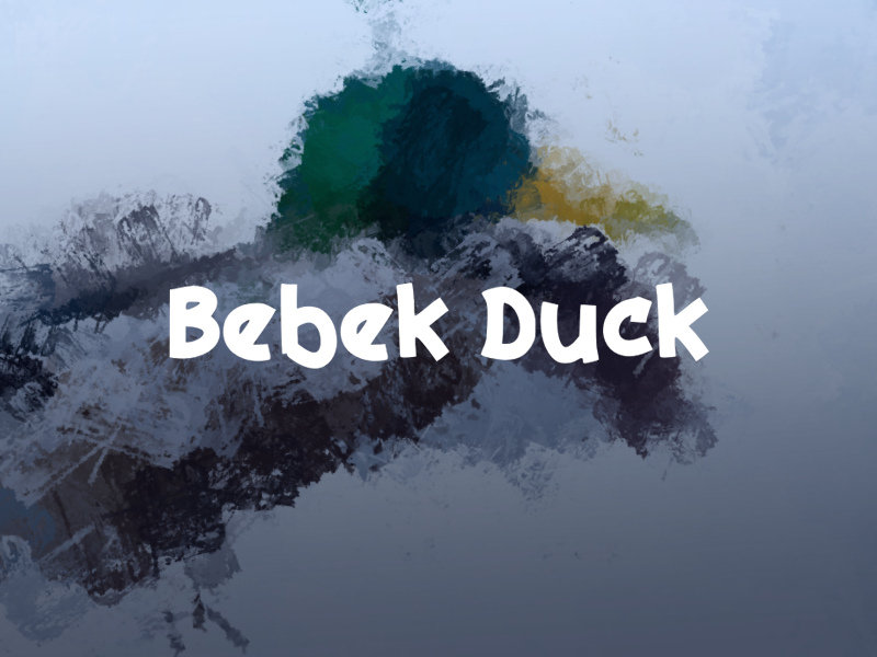 b Bebek Duck