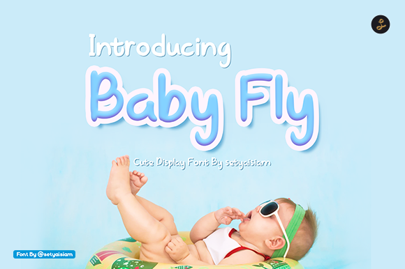 Baby Fly