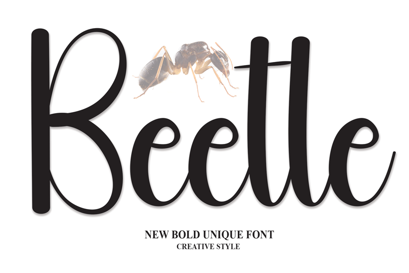 Beetle