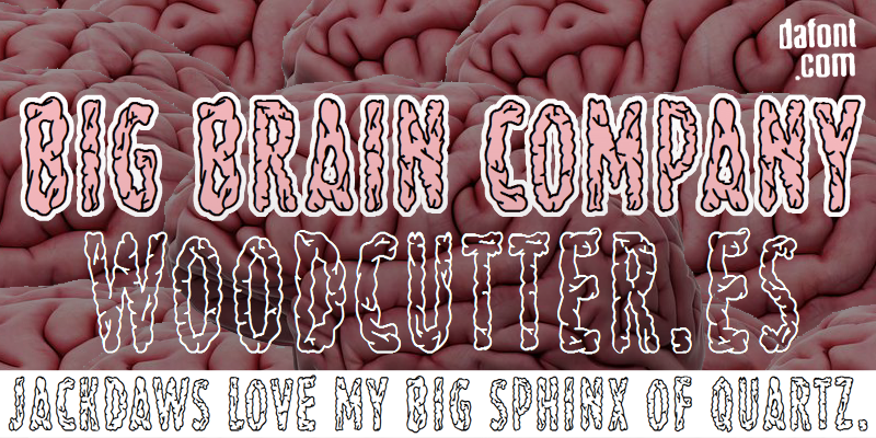 Big Brain Company