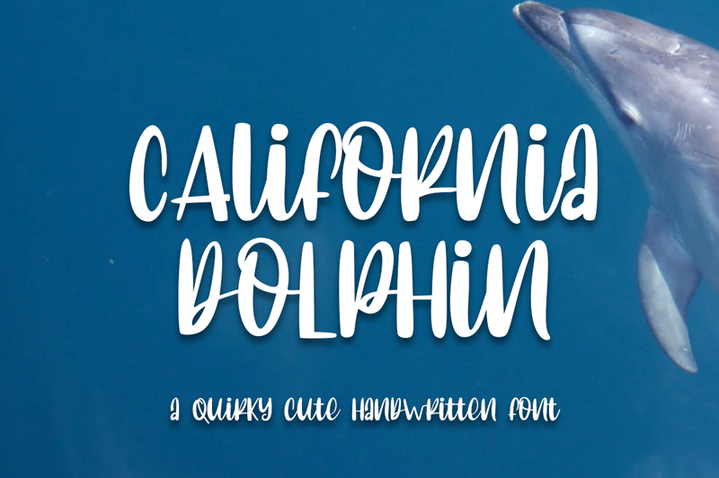 California Dolphin