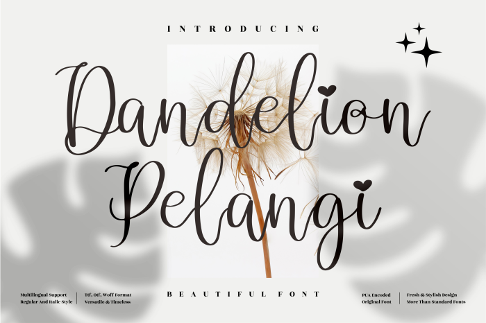 Dandelion Pelangi