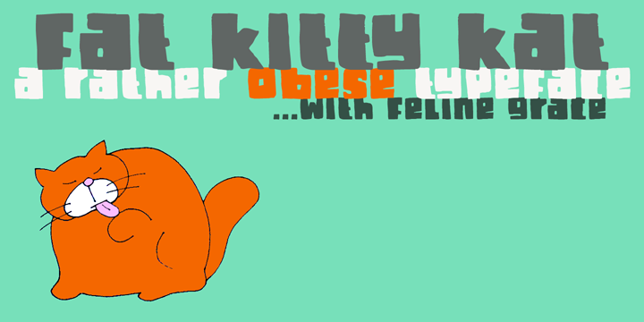 DK Fat Kitty Kat