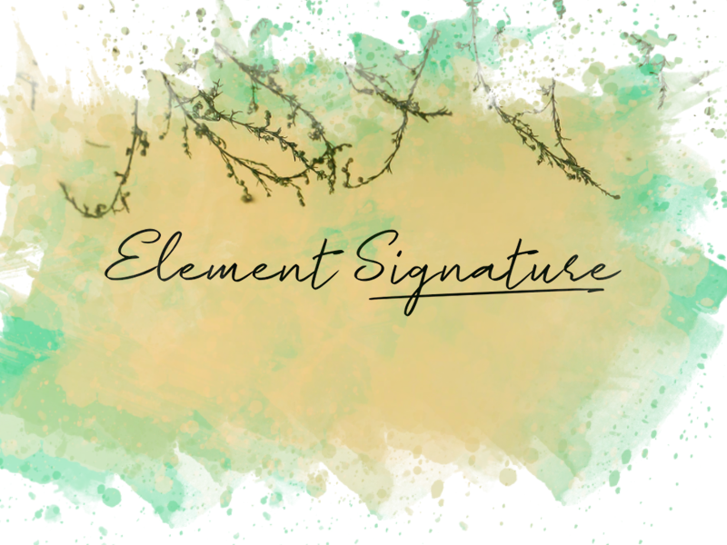 e Element Signature