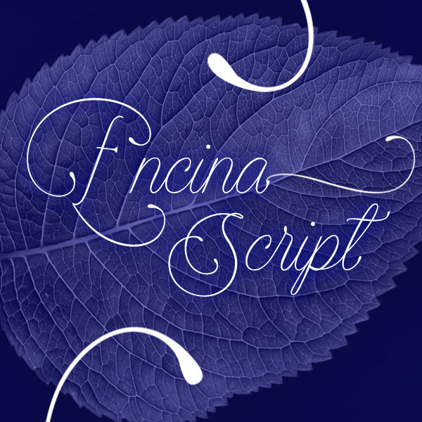 Encina Script