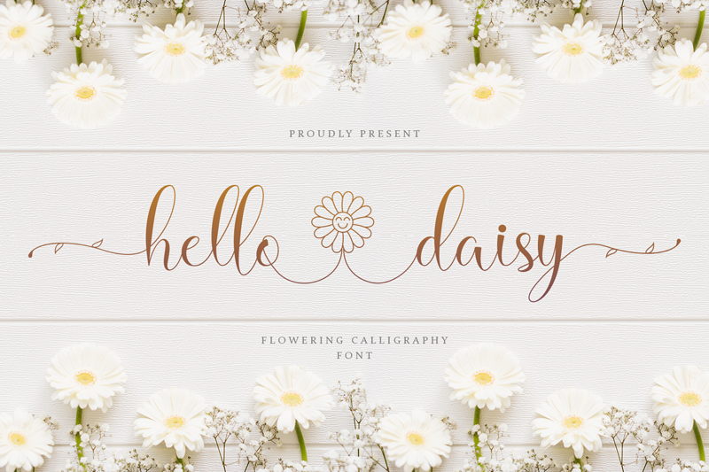 Hello Daisy