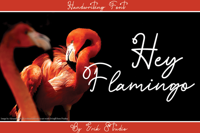 Hey Flamingo