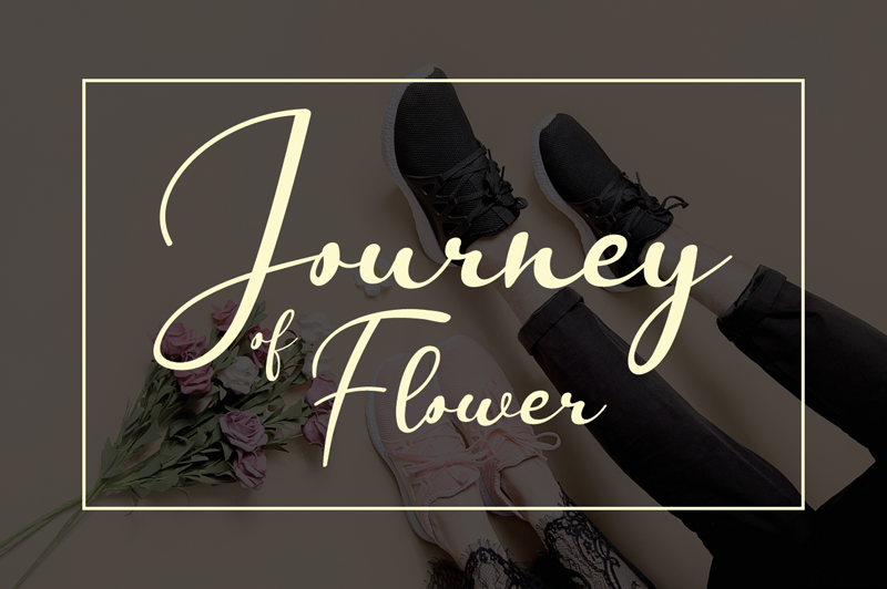 Journey Of Flower