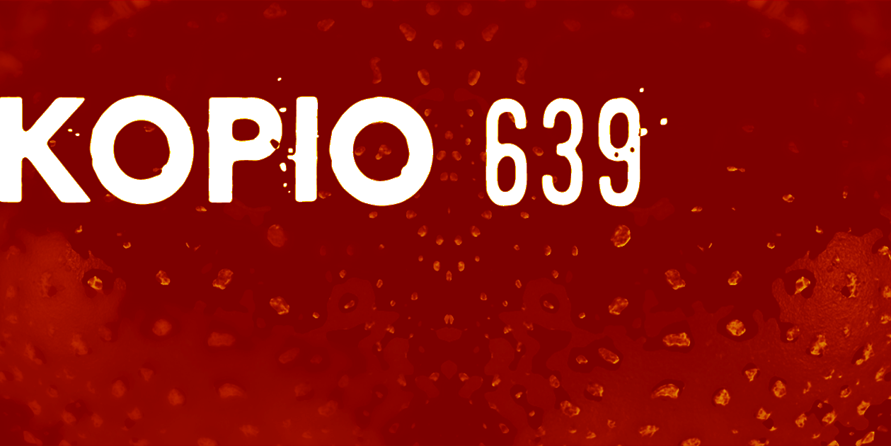 Kopio 639