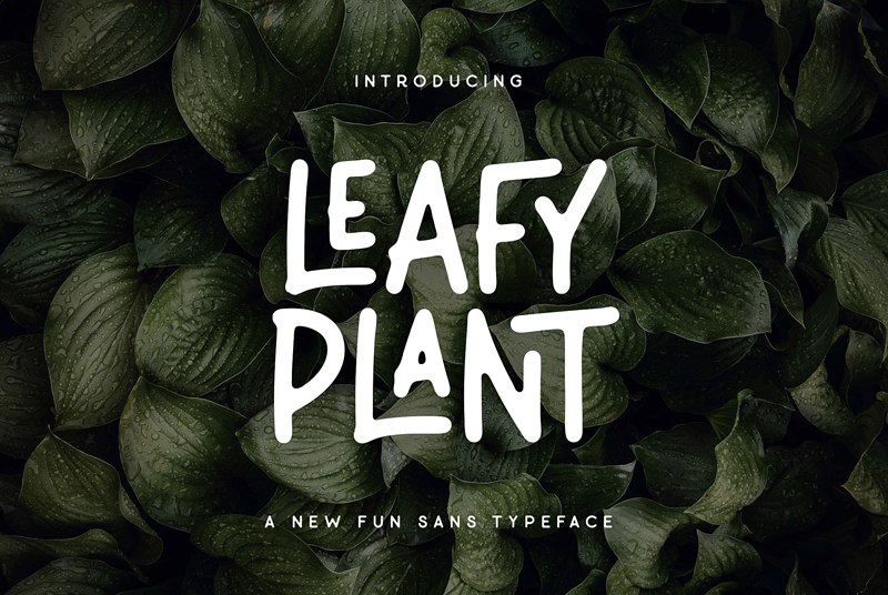 Leafy Plant Sans