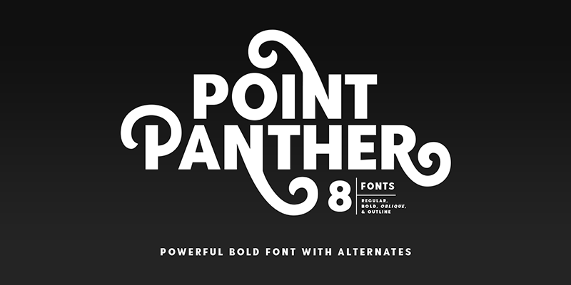 Point Panther