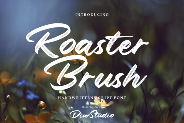 Roaster Brush