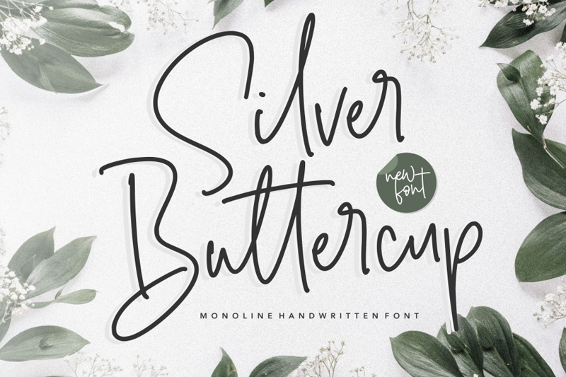 Silver Buttercup
