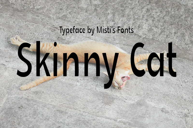 Skinny Cat