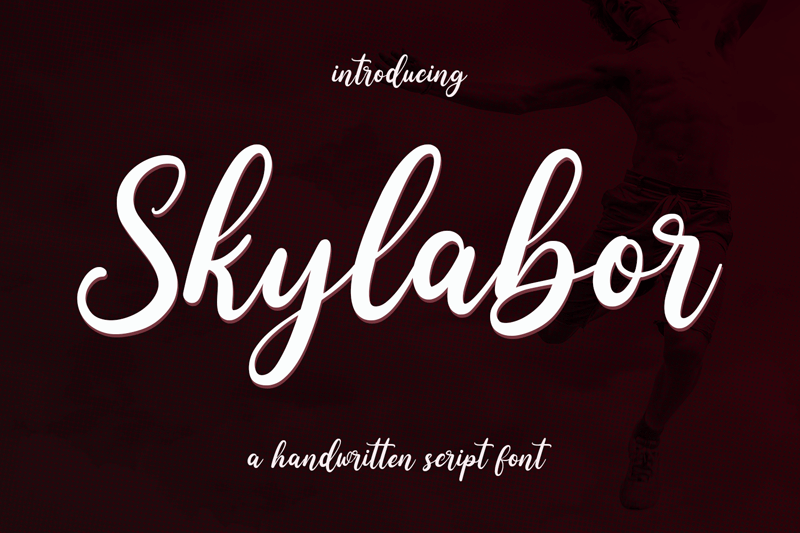 Skylabor