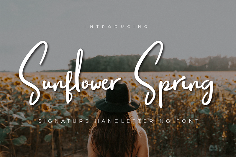Sunflower Spring
