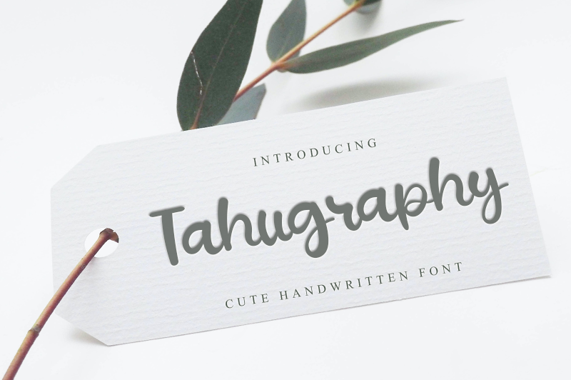 Tahugraphy