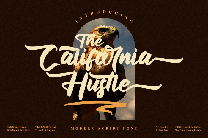 The California Hustle